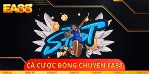 Cá Cược Bóng Chuyền EA88