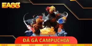 Đá Gà Campuchia