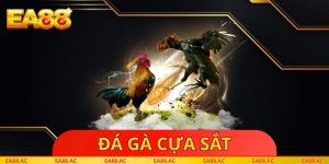 Đá Gà Cựa Sắt