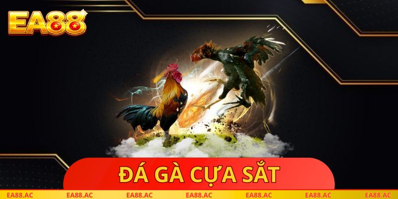 Đá Gà Cựa Sắt
