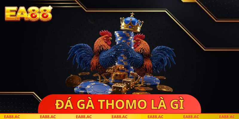Đá Gà Thomo Là Gì
