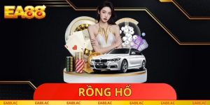 Rồng Hổ